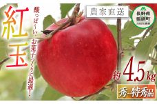 りんご 紅玉 秀 ～ 特秀 4.5kg （～23玉） ヒライ農園 沖縄県への配送不可 2025年10月上旬頃から2025年10月中旬頃まで順次発送予定 令和7年度収穫分 信州の環境にやさしい農産物認証 減農薬栽培 長野県 飯綱町 [0362]