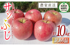 りんご サンふじ 訳あり 10kg マルヤマフルーツ農園 沖縄県への配送不可 2024年12月上旬頃から2024年12月下旬頃までお申込み順に発送予定 令和6年度収穫分 農産物認証50-30 減農薬栽培 ( 除草剤 化学肥料 不使用 ) 長野県 飯綱町 [0351]