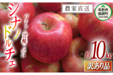 りんご シナノドルチェ 訳あり 10kg マルヤマフルーツ農園 沖縄県への配送不可 2024年9月下旬頃から2024年10月上旬頃までお申込み順に発送予定 農産物認証50-30 減農薬栽培 ( 除草剤 化学肥料 不使用 ) 長野県 飯綱町 [0367]