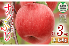 りんご サンふじ 秀 ～ 特秀 3kg ITO果樹園 沖縄県への配送不可 2024年11月下旬頃から2024年12月下旬頃まで順次発送予定 令和6年度収穫分 信州の環境にやさしい農産物認証 信州 果物 フルーツ リンゴ 林檎 長野 16000円 予約 農家直送 長野県 飯綱町 [0386]
