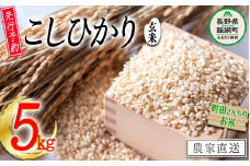 玄米 こしひかり 5kg （令和7年産） 沖縄県への配送不可 2025年10月上旬頃から順次発送予定 町田さんちのコシヒカリ 低温乾燥 米 13000円 長野県 飯綱町 [0401]