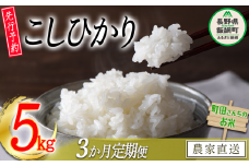 米 こしひかり 5kg × 3回 【 3か月 定期便 】（令和7年産） 沖縄県への配送不可 2025年10月上旬頃から順次発送予定 町田さんちのコシヒカリ 低温乾燥 白米 精米 39000円 長野県 飯綱町 [0403]