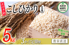 玄米 こしひかり 5kg × 3回 【 3か月 定期便 】（令和7年産） 沖縄県への配送不可 2025年10月上旬頃から順次発送予定 町田さんちのコシヒカリ 低温乾燥 米 39000円 長野県 飯綱町 [0405]
