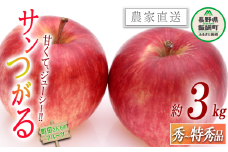 りんご サンつがる 秀～特秀3kg 沖縄県への配送不可 2025年8月下旬頃から2025年9月中旬頃まで順次発送予定 町田さんちのりんご 長野県 飯綱町 [0410]