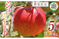 りんご シナノスイート 秀 ～ 特秀 5kg 沖縄県への配送不可 2025年10月中旬頃から2025年11月下旬頃まで順次発送予定 町田さんちのりんご 長野県 飯綱町 [0413]