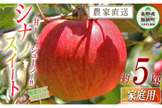 りんご シナノスイート 家庭用 5kg 沖縄県への配送不可 2025年10月中旬頃から2025年11月下旬頃まで順次発送予定 町田さんちのりんご 長野県 飯綱町 [0414]