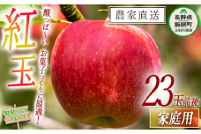 りんご 紅玉 家庭用 約23玉前後 沖縄県への配送不可 2025年9月下旬頃から2025年10月中旬頃まで順次発送予定 町田さんちのりんご 長野県 飯綱町 [0416]