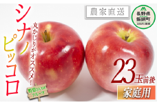 りんご シナノピッコロ 家庭用 約23玉前後 沖縄県への配送不可 2025年9月下旬頃から2025年10月中旬頃まで順次発送予定 町田さんちのりんご 長野県 飯綱町 [0417]