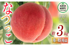 【 品種： なつっこ 】 桃 もも なつっこ 秀 ～ 特秀 約 3kg 大垣農園 配送先は本州限定 2025年8月中旬頃から2025年8月下旬頃まで順次発送予定 令和7年度収穫分 信州 果物 フルーツ モモ 桃 川中島 白桃 あかつき オリジナル品種 長野 17000円 予約 農家直送 長野県 飯綱町 [0443]