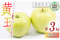 りんご 黄王 家庭用 3kg 永野農園 沖縄県への配送不可 2025年8月中旬頃から2025年8月下旬頃まで順次発送予定 令和7年度収穫分 信州 果物 フルーツ リンゴ 林檎 長野 予約 農家直送 長野県 飯綱町 [0486]