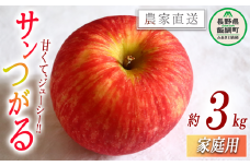 りんご サンつがる 家庭用 3kg 永野農園 沖縄県への配送不可 2025年8月下旬頃から2025年9月中旬頃まで順次発送予定 令和7年度収穫分 信州 果物 フルーツ リンゴ 林檎 長野 予約 農家直送 長野県 飯綱町 [0487]
