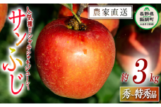 りんご サンふじ 秀 〜 特秀 3kg 永野農園 沖縄県への配送不可 2025年12月上旬頃から2026年2月上旬頃まで順次発送予定 令和7年度収穫分 信州 果物 フルーツ リンゴ 林檎 長野 予約 農家直送 長野県 飯綱町 [0488]