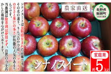 りんご シナノスイート 家庭用 5kg 松澤農園 沖縄県への配送不可 2025年10月下旬頃から2025年11月上旬頃まで順次発送予定 令和7年度収穫分 長野県 飯綱町 [0499]