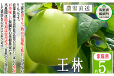 りんご 王林 家庭用 5kg 松澤農園 沖縄県への配送不可 2025年11月中旬頃から2025年12月上旬頃まで順次発送予定 令和7年度収穫分 長野県 飯綱町 [0500]