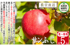 りんご サンふじ 秀 ～ 特秀 5kg 松澤農園 沖縄県への配送不可 2025年11月下旬頃から2026年2月上旬頃まで順次発送予定 令和7年度収穫分 長野県 飯綱町 [0502]