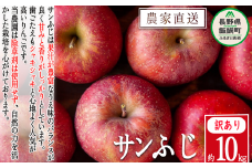 りんご サンふじ 訳あり 10kg 松澤農園 沖縄県への配送不可 2025年11月下旬頃から2026年2月下旬頃まで順次発送予定 令和7年度収穫分 長野県 飯綱町 [0503]