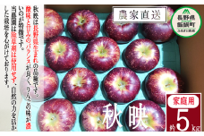 りんご 秋映 家庭用 5kg 松澤農園 沖縄県への配送不可 2025年10月上旬頃から2025年10月下旬頃まで順次発送予定 令和7年度収穫分 長野県 飯綱町 [0497]