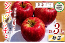 りんご シナノドルチェ 特選 3kg やまじゅうファーム 沖縄県への配送不可 2025年9月中旬頃から2025年10月上旬頃まで順次発送予定 令和7年度収穫分 信州の環境にやさしい農産物 減農薬栽培 長野県 飯綱町 [0513]