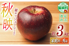 りんご 秋映 家庭用 〜 秀 3kg やまじゅうファーム 沖縄県への配送不可 2025年10月上旬頃から2025年10月中旬頃まで順次発送予定 令和7年度収穫分 信州の環境にやさしい農産物 減農薬栽培 長野県 飯綱町 [0518]