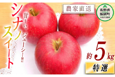 りんご シナノスイート 特選 5kg やまじゅうファーム 沖縄県への配送不可 2025年10月中旬頃から2025年10月下旬頃まで順次発送予定 令和7年度収穫分 信州の環境にやさしい農産物 減農薬栽培 長野県 飯綱町 [0522]