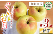 りんご ぐんま名月 特選 3kg やまじゅうファーム 沖縄県への配送不可 2025年11月下旬頃から2025年12月上旬頃まで順次発送予定 令和7年度収穫分 信州の環境にやさしい農産物 減農薬栽培 長野県 飯綱町 [0527]
