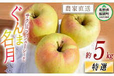 りんご ぐんま名月 特選 5kg やまじゅうファーム 沖縄県への配送不可 2025年11月下旬頃から2025年12月上旬頃まで順次発送予定 令和7年度収穫分 信州の環境にやさしい農産物 減農薬栽培 長野県 飯綱町 [0528]