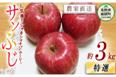 りんご サンふじ 特選 3kg やまじゅうファーム 沖縄県への配送不可 2025年12月上旬頃から2025年12月中旬頃まで順次発送予定 令和7年度収穫分 信州の環境にやさしい農産物 減農薬栽培 長野県 飯綱町 [0533]