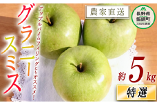 りんご グラニースミス 特選 5kg やまじゅうファーム 沖縄県への配送不可 2025年12月中旬頃から2026年1月下旬頃まで順次発送予定 令和7年度収穫分 信州の環境にやさしい農産物 減農薬栽培 長野県 飯綱町 [0531]