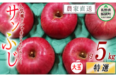 りんご サンふじ 特選 ( 大玉 ) 5kg やまじゅうファーム 沖縄県への配送不可 2024年12月上旬頃から2024年12月中旬頃まで順次発送予定 令和6年度収穫分 信州の環境にやさしい農産物 減農薬栽培 長野県 飯綱町 [0539]