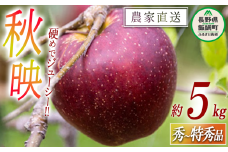 りんご 秋映 秀 ～ 特秀 5kg 松橋りんご園 沖縄県への配送不可 2025年10月上旬頃から2025年10月中旬頃まで順次発送予定 令和7年度収穫分 フルーツ リンゴ 信州 長野県 飯綱町 [0128]