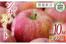 りんご シナノスイート 訳あり 10kg 松橋りんご園 2025年10月上旬頃から2025年11月上旬頃まで順次発送予定 令和7年度収穫分 フルーツ リンゴ 信州 長野県 飯綱町 [0550]
