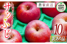 りんご サンふじ 訳あり 10kg ファームたんぽぽ 沖縄県への配送不可 2025年12月上旬頃から2025年12月下旬頃まで順次発送予定 令和7年度収穫分 信州 果物 フルーツ リンゴ 林檎 長野 予約 農家直送 長野県 飯綱町 [0554]