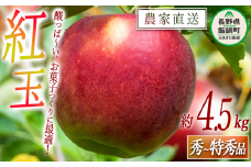 りんご 紅玉 秀 ～ 特秀 4.5kg 中村ファーム 沖縄県への配送不可 2025年9月中旬頃から2025年11月上旬頃まで順次発送予定 令和7年度収穫分 長野県 飯綱町 [0557]