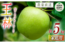 りんご 王林 家庭用 5kg 中村ファーム 沖縄県への配送不可 2025年10月下旬頃から2025年12月中旬頃まで順次発送予定 令和7年度収穫分 長野県 飯綱町 [0560]