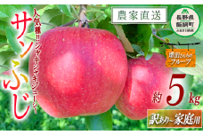 りんご サンふじ 家庭用 〜 訳あり 5kg 増田ファーム 沖縄県への配送不可 2025年12月上旬頃から2026年2月上旬頃まで順次発送予定 令和7年度収穫分 信州 果物 フルーツ リンゴ 林檎 長野 予約 農家直送 長野県 飯綱町 [0564]