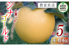 りんご シナノゴールド 秀 ～ 特秀 5kg マルヤマフルーツ農園 沖縄県への配送不可 2024年11月上旬頃から2024年11月中旬頃までお申込み順に発送予定 令和6年度収穫分 農産物認証50-30 減農薬栽培 ( 除草剤 化学肥料 不使用 ) 長野県 飯綱町 [0573]
