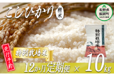 特別栽培米 かざまファーマー コシヒカリ （ 白米 ） 10kg × 12回 【12カ月定期便】【令和6年度収穫分】 ※沖縄および離島への配送不可 ※2024年10月上旬頃から順次発送予定 信州の環境にやさしい農産物認証 長野県 飯綱町 [0589]