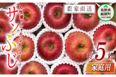 りんご 蜜入り サンふじ 家庭用 5kg サイズおまかせ 井澤農園 沖縄県への配送不可 2025年11月中旬頃から2026年1月下旬頃まで順次発送予定 令和7年度収穫分 エコファーマー認定 減農薬栽培 化学肥料不使用 信州 果物 フルーツ リンゴ 林檎 長野 16000円 予約 農家直送 長野県 飯綱町 [0591]