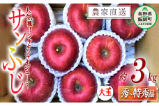 りんご 蜜入り サンふじ 秀 〜 特秀 ( 大玉 ) 3kg サイズおまかせ 井澤農園 沖縄県への配送不可 2025年12月上旬頃から2026年1月下旬頃まで順次発送予定 令和7年度収穫分 エコファーマー認定 減農薬栽培 化学肥料不使用 信州 果物 フルーツ リンゴ 林檎 長野 19500円 予約 農家直送 長野県 飯綱町 [0593]