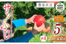 りんご サンふじ 家庭用 〜 訳あり ( 小玉 ) 5kg 増田ファーム 沖縄県への配送不可 2025年11月下旬頃から2026年2月上旬頃まで順次発送予定 令和7年度収穫分 信州 果物 フルーツ リンゴ 林檎 長野 予約 農家直送 長野県 飯綱町 [0597]