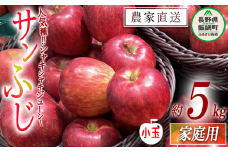 りんご サンふじ ( 小玉 ) 家庭用 5kg ファームたんぽぽ 沖縄県への配送不可 2025年12月上旬頃から2025年12月下旬頃まで順次発送予定 令和7年度収穫分 信州 果物 フルーツ リンゴ 林檎 長野 予約 農家直送 長野県 飯綱町  [0614]
