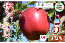 りんご サンふじ ( 大玉 ) 家庭用 5kg ファームたんぽぽ 沖縄県への配送不可 2025年12月上旬頃から2025年12月下旬頃まで順次発送予定 令和7年度収穫分 信州 果物 フルーツ リンゴ 林檎 長野 予約 農家直送 長野県 飯綱町 [0613]