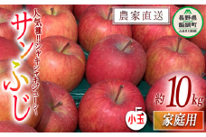 りんご サンふじ 家庭用 ( 小玉 ) 10kg 原山農園 沖縄県への配送不可 2026年1月上旬頃から2026年3月上旬頃まで順次発送予定 令和7年度収穫分 信州 果物 フルーツ リンゴ 林檎 長野 予約 農家直送 長野県 飯綱町 [0620]