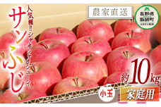 りんご サンふじ 家庭用 ( 小玉 ) 10kg 松橋りんご園 沖縄県への配送不可 2026年1月上旬頃から2026年3月上旬頃まで順次発送予定 令和7年度収穫分 フルーツ リンゴ 信州 長野県 飯綱町 [0630]