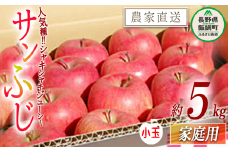 りんご サンふじ 家庭用 ( 小玉 ) 5kg 松橋りんご園 沖縄県への配送不可 2026年1月上旬頃から2026年3月上旬頃まで順次発送予定 令和7年度収穫分 フルーツ リンゴ 信州 長野県 飯綱町 [0629]