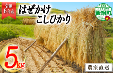 [0640]【令和6年度収穫分】増田さんちのお米　こしひかり5kg　はぜかけ　※沖縄県への配送不可　※2024年11月上旬頃から順次発送予定　長野県飯綱町