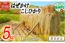 [0642]【令和6年度収穫分】増田ファームのお米　こしひかり5kg×6回【6ヶ月定期便】 はぜかけ　※沖縄県への配送不可　※2024年11月上旬頃から順次発送予定　長野県飯綱町