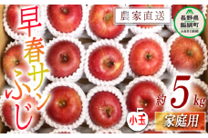 りんご 蔵出し 早春 サンふじ 家庭用 ( 小玉 ) 5kg サイズおまかせ 井澤農園 沖縄県への配送不可 2026年3月上旬頃から2026年4月上旬頃まで順次発送予定 令和7年度収穫分 エコファーマー認定 減農薬栽培 化学肥料不使用 信州 果物 フルーツ リンゴ 林檎 長野 13500円 予約 農家直送 長野県 飯綱町 [0650]