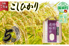 米 皇室献上実績 こしひかり 5kg ( 令和7年産 ) 特別栽培米 仲俣農園 2025年10月上旬頃から順次発送予定 コシヒカリ 白米 精米 お米 信州 23000円 予約 農家直送 長野県 飯綱町 [0669]