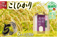 米 皇室献上実績 こしひかり 5kg × 6回 【 6か月 定期便 】( 令和7年産 ) 特別栽培米 仲俣農園 2025年10月上旬頃から順次発送予定 コシヒカリ 白米 精米 お米 信州 138000円 予約 農家直送 長野県 飯綱町 [0671]